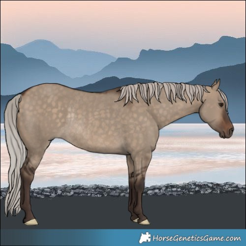 Horse Color:Silver Brown Dun Rabicano 