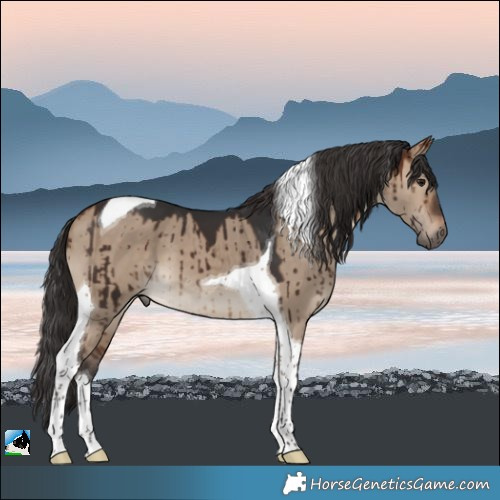 Horse Color:Brown Dun Tobiano Brindle