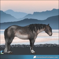 Horse Color:Platinum Brown Tobiano Rabicano