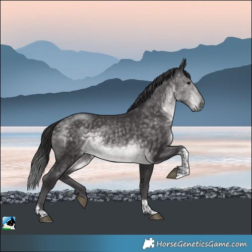 Horse Color:Platinum Buckskin Tobiano Rabicano 