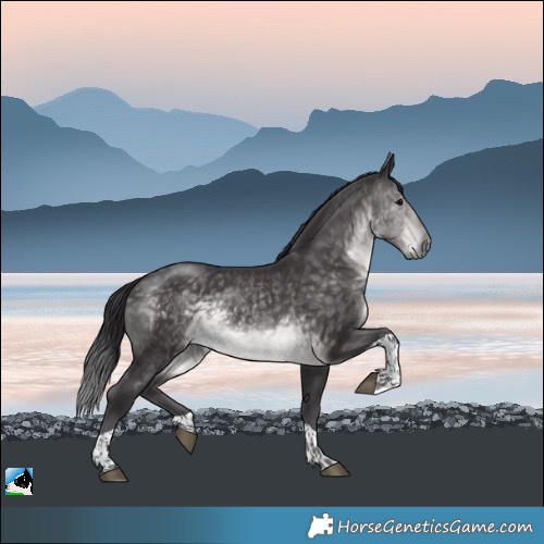 Horse Color:Platinum Buckskin Tobiano Rabicano 