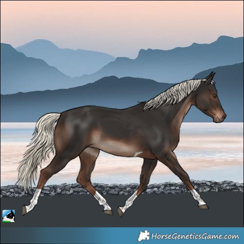 Horse Color:Liver Chestnut Mushroom Tobiano Rabicano