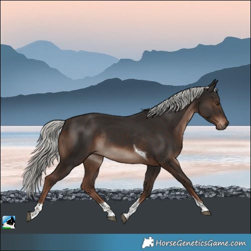 Horse Color:Liver Chestnut Mushroom Tobiano Rabicano 