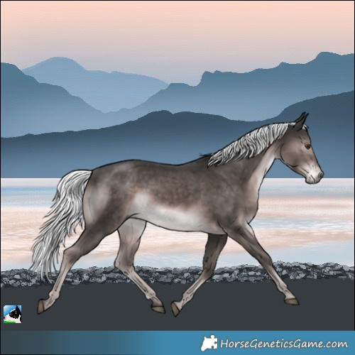 Horse Color:Platinum Liver Chestnut Mushroom Rabicano 