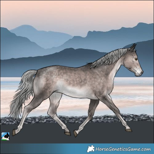 Horse Color:Platinum Chocolate Palomino Mushroom Rabicano 