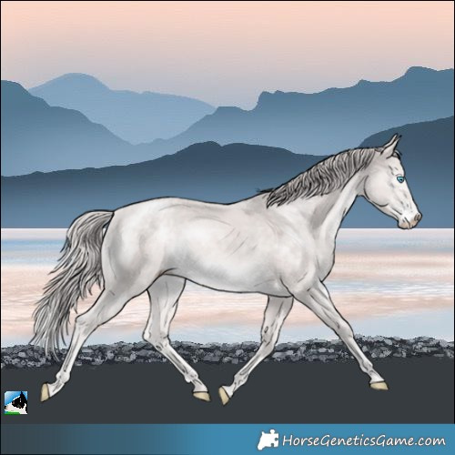 Horse Color:Platinum Perlino Mushroom Rabicano 