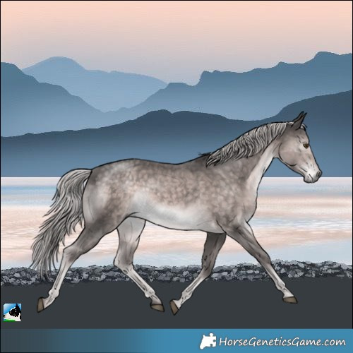 Horse Color:Platinum Chocolate Palomino Mushroom Rabicano 