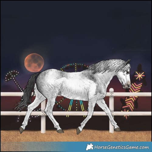 Horse Color:White Spotted Blue Roan Splash Frame Varnish