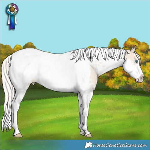 Horse Color:Cremello Tobiano Frame Blanket
