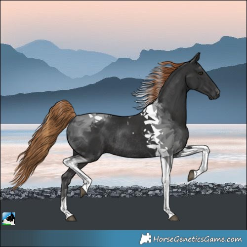 Horse Color:Gray Liver Chestnut Tobiano Rabicano