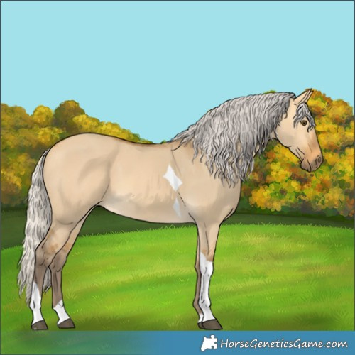 Horse Color:Silver Buckskin Dun Tobiano 