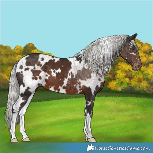 Horse Color:White Spotted Liver Chestnut Mushroom Varnish 