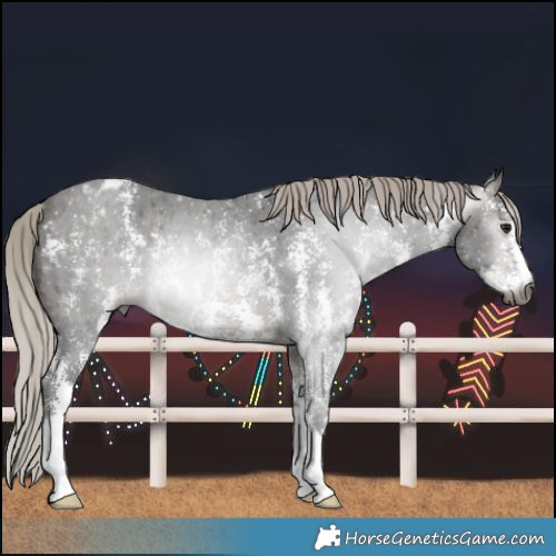 Horse Color:Gray Silver Brown Ice Sabino Varnish Rabicano