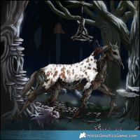 Horse Color:Bay Tobiano Near Leopard 