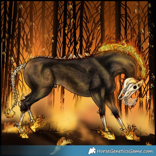 Horse Color:Void Buckskin Roan Sabino Rabicano