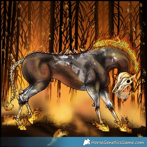Horse Color:Brown Tobiano Rabicano