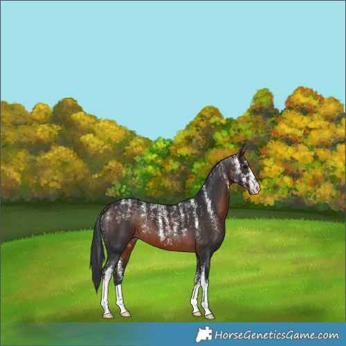 Horse Color:Powder White Brown 