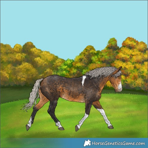 Horse Color:Silver Buckskin Sabino Tobiano 