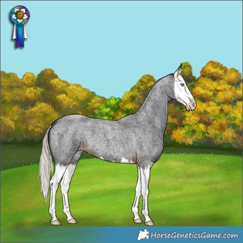 Horse Color:Liver Red Roan Splash