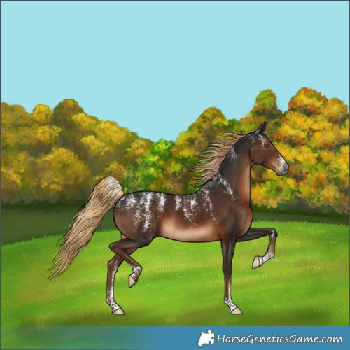 Horse Color:Powder White Gray Liver Chestnut 