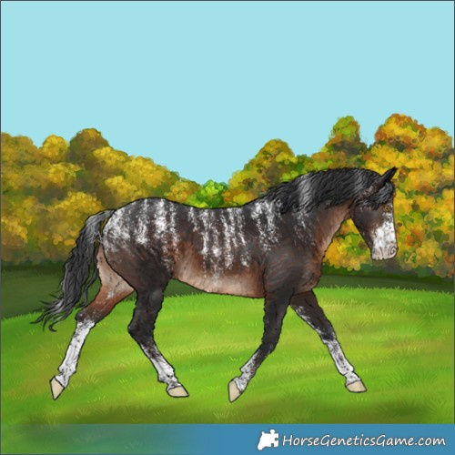 Horse Color:Powder White Brown 
