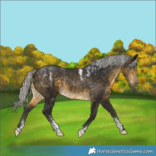 Horse Color:Powder White Silver Buckskin 