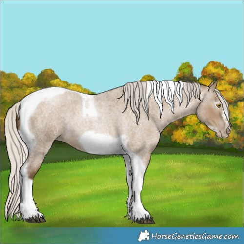 Horse Color:Gray Silver Grullo Roan Pearl Tobiano Frame 