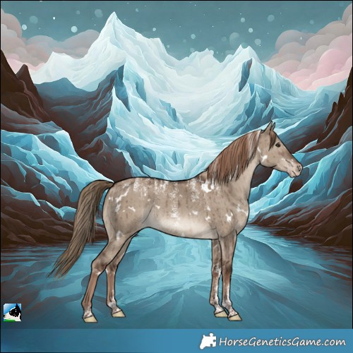 Horse Color:Powder White White Spotted Liver Red Dun Appaloosa Rabicano Brindle 