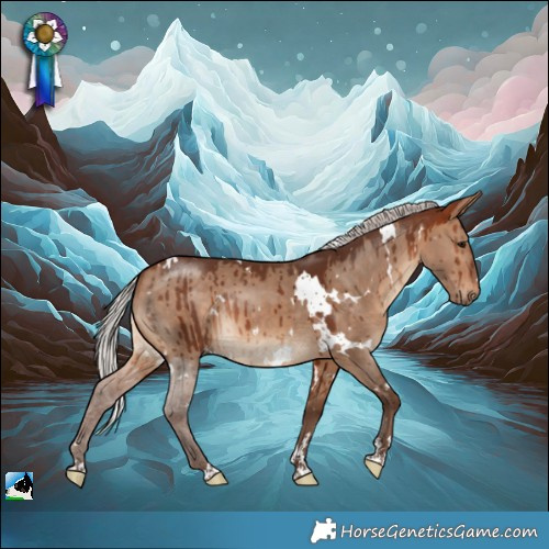 Horse Color:White Spotted Silver Bay Dun Rabicano Brindle
