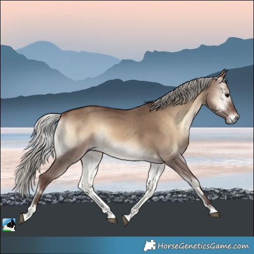 Horse Color:Silver Brown Onyx 