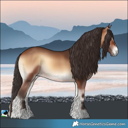 Horse Color:Bay Onyx 