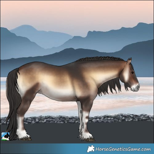 Horse Color:Brown Onyx 