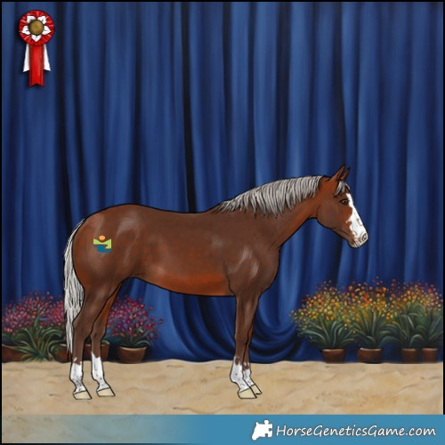 Horse Color:Silver Bay 