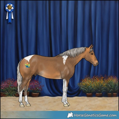 Horse Color:Silver Buckskin Tobiano 