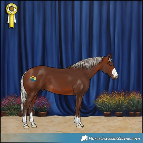 Horse Color:Silver Bay