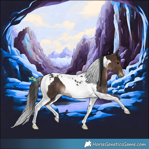 Horse Color:Brown Tobiano