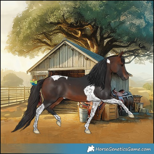 Horse Color:Bay Tobiano