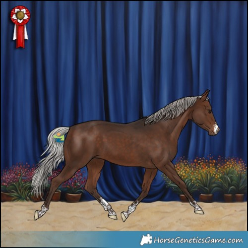 Horse Color:Silver Bay 