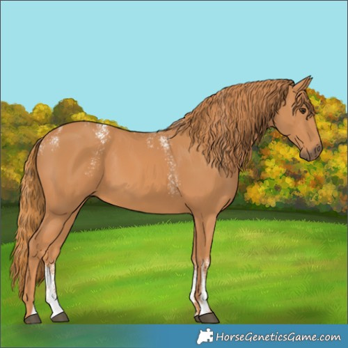 Horse Color:Powder White Chestnut 