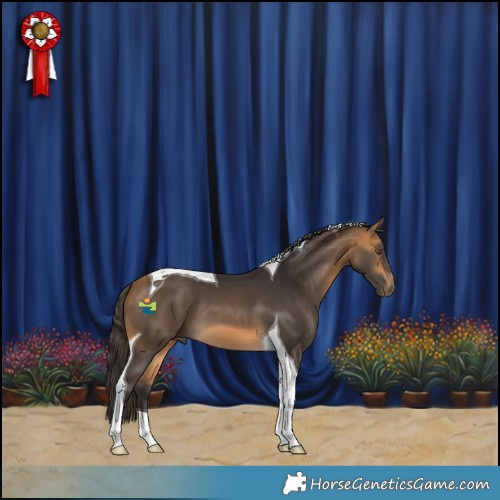 Horse Color:Buckskin Tobiano 