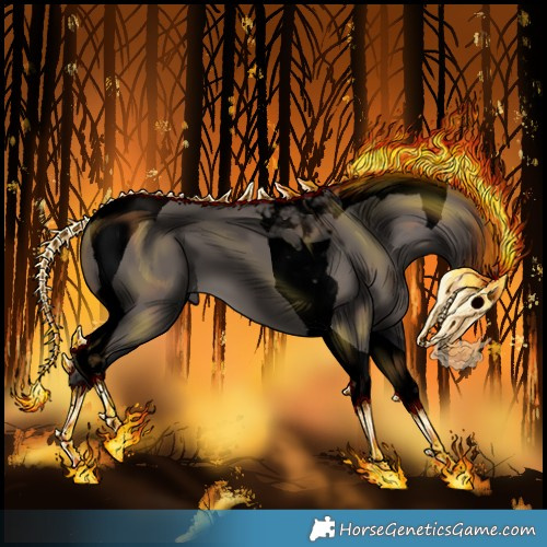Horse Color:Void Smoky Grullo Tobiano 