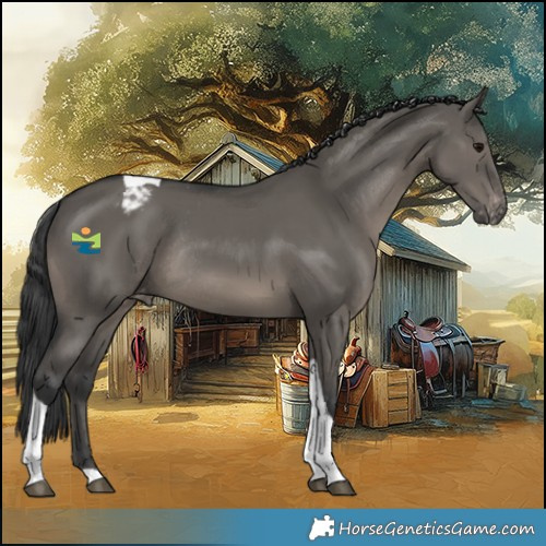 Horse Color:Grullo Tobiano Varnish Rabicano 