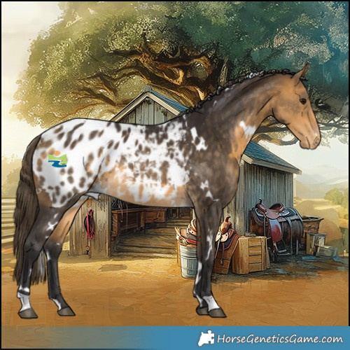 Horse Color:White Spotted Buckskin Blanket Rabicano 