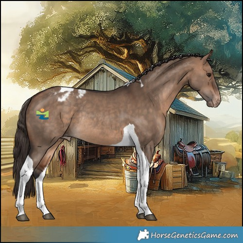 Horse Color:Bay Dun Tobiano Varnish Rabicano