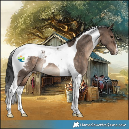 Horse Color:Brown Dun Tobiano Snowcap Rabicano 