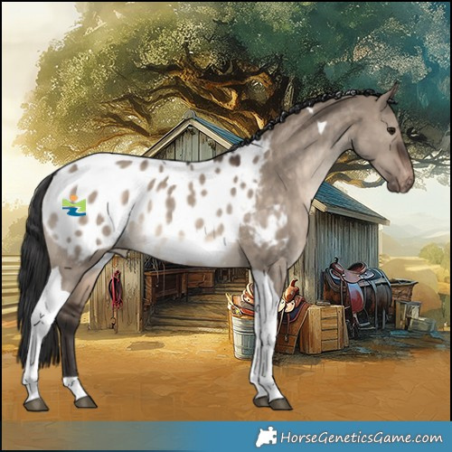 Horse Color:Brown Dun Tobiano Blanket Rabicano 