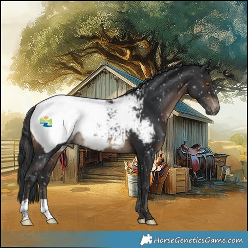 Horse Color:Brown Snowcap 