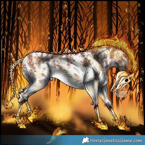 Horse Color:Bay Sabino