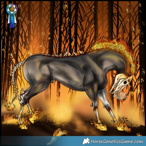 Horse Color:Blue Onyx