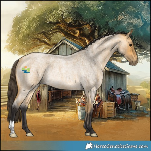 Horse Color:Buckskin Roan Rabicano